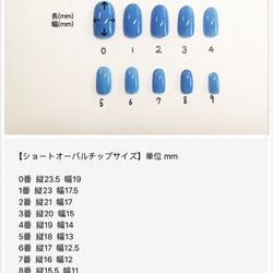 大人可愛い 秋色レースネイルチップ♡Tiam nail♡ 5枚目の画像