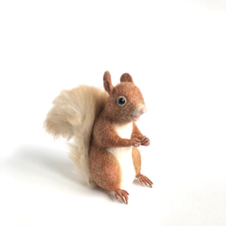 羊毛フェルト エゾリス 羊毛フェルト りすすのす 通販 12042251