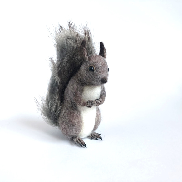 羊毛フェルト エゾリス 羊毛フェルト りすすのす 通販 12042251