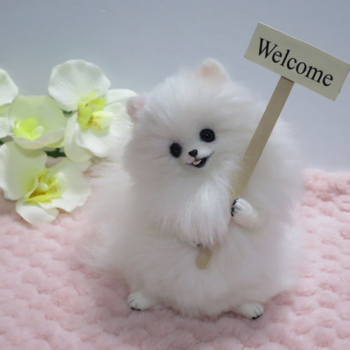 羊毛フェルト 犬 ポメラニアン 白 ホワイト 置物 羊毛フェルト