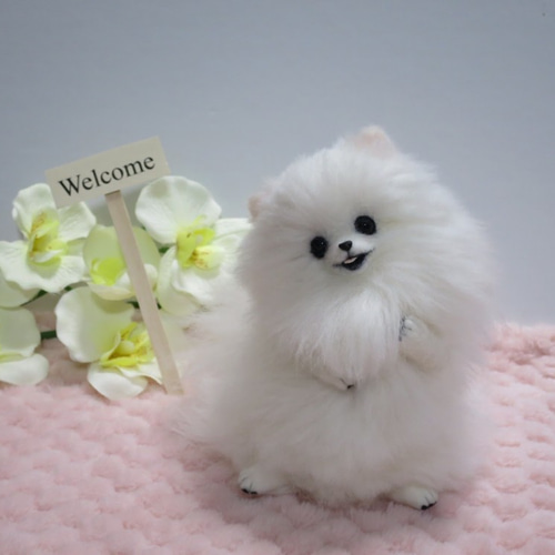 羊毛フェルト 犬 ポメラニアン 白 ホワイト ウェルカムドール