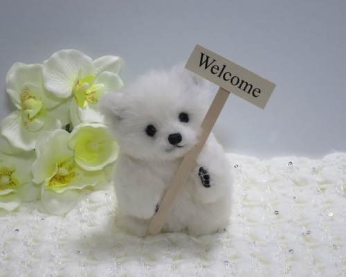 ZUS(ズス) フェルト ぬいぐるみ シロクマ Amazon.co.jp: AQUA ぬいぐるみ マリン アクアフレンズ ミニ