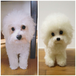 羊毛フェルト 犬 テディベア プードル 白 ホワイト トイ