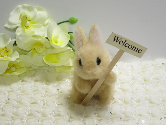 羊毛フェルト うさぎ ウサギ ネザーランドドワーフ ウェルカムドール  