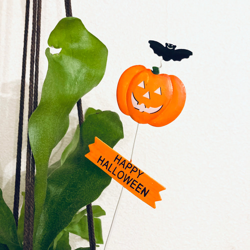 Creema限定 秋の福袋 ビカクシダ(コウモリラン)&プラントハンガー