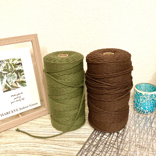 Creema限定 秋の福袋 ビカクシダ(コウモリラン)&プラントハンガー