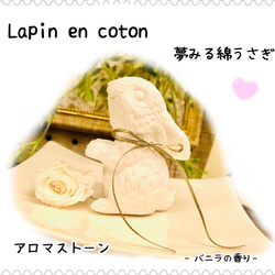 Lapin en coton  夢みる綿うさぎ・:*+. アロマストーン　 1枚目の画像