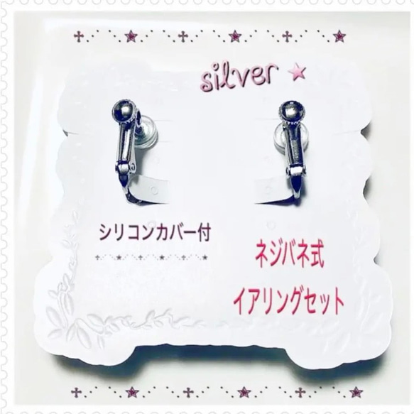 【ニシアフリカトカゲモドキ】silver  イアリングセット　豪華特典・プレゼント付♡ 2枚目の画像