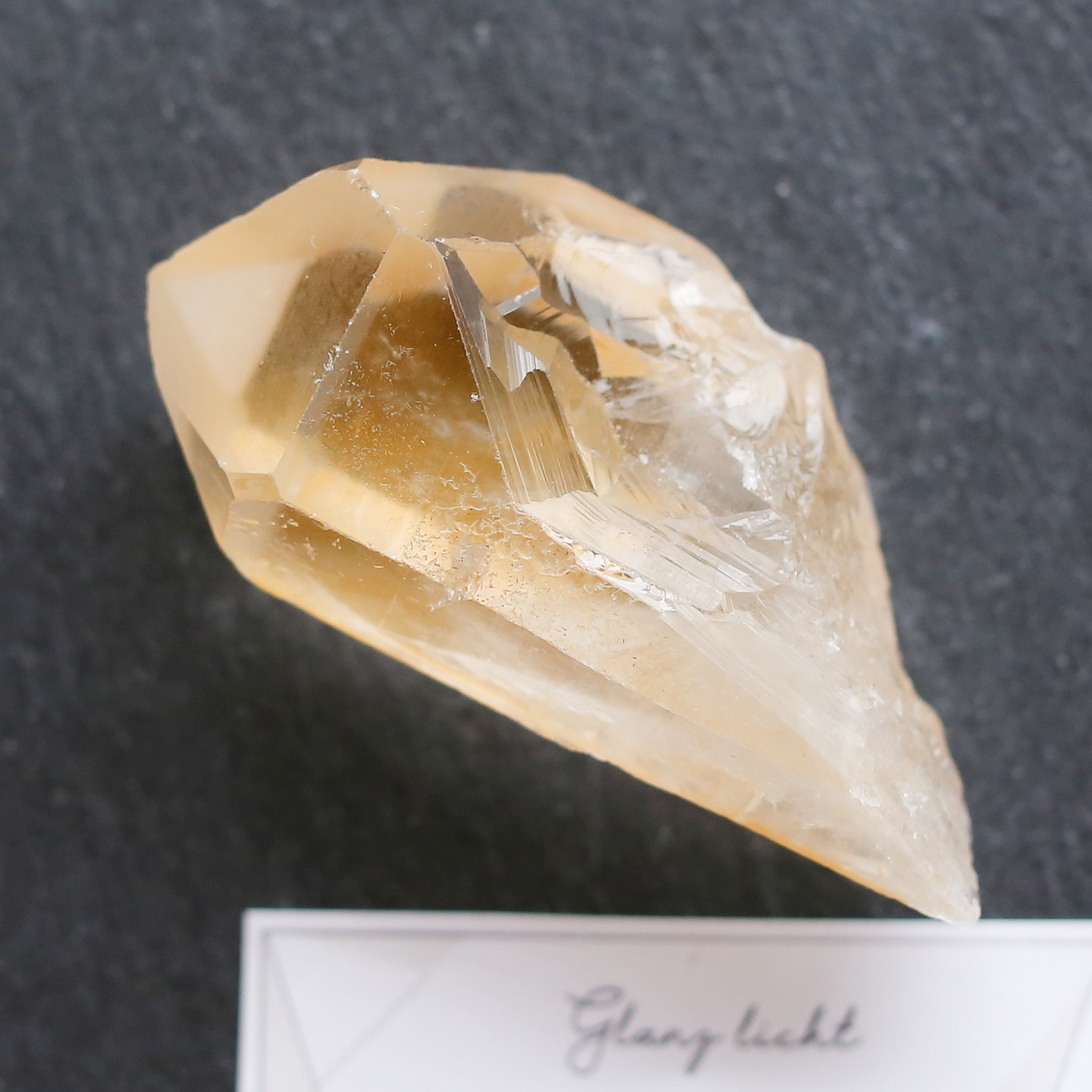 パストタイムリンク付き ゴールデンヒーラー 特大サイズ 高品質