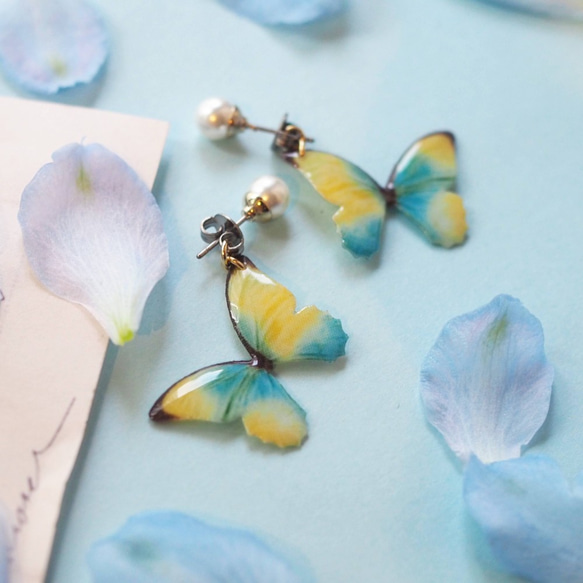 黃色和天藍色蝴蝶耳環/耳環（珍珠） 第2張的照片