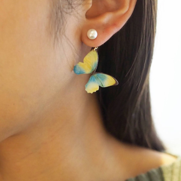 黃色和天藍色蝴蝶耳環/耳環（珍珠） 第5張的照片