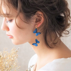 Ocean Blue Butterfly Earrings [Pierced or Clip-on] 第1張的照片