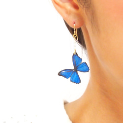 Ocean Blue Butterfly Earrings [Pierced or Clip-on] 第4張的照片