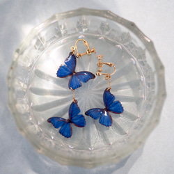 Ocean Blue Butterfly Earrings [Pierced or Clip-on] 第5張的照片