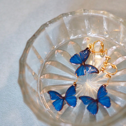 Ocean Blue Butterfly Earrings [Pierced or Clip-on] 第7張的照片