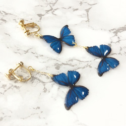 Ocean Blue Butterfly Earrings [Pierced or Clip-on] 第8張的照片