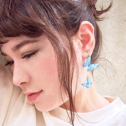 Sky Blue Butterfly Earrings, asymmetry[Pierced or Clip-on] 第2張的照片