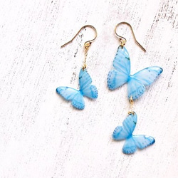 Sky Blue Butterfly Earrings, asymmetry[Pierced or Clip-on] 第2張的照片