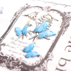 Sky Blue Butterfly Earrings, asymmetry[Pierced or Clip-on] 第3張的照片