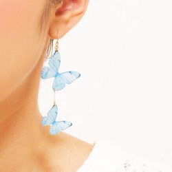 Sky Blue Butterfly Earrings, asymmetry[Pierced or Clip-on] 第4張的照片