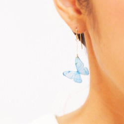 Sky Blue Butterfly Earrings, asymmetry[Pierced or Clip-on] 第5張的照片