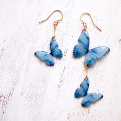 Light Blue Butterfly Earrings,asymmetry[Pierced or clip-on] 第1張的照片