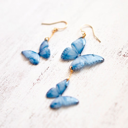 Light Blue Butterfly Earrings,asymmetry[Pierced or clip-on] 第2張的照片