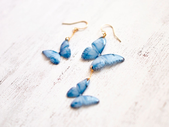 Light Blue Butterfly Earrings,asymmetry[Pierced or clip-on] 第2張的照片