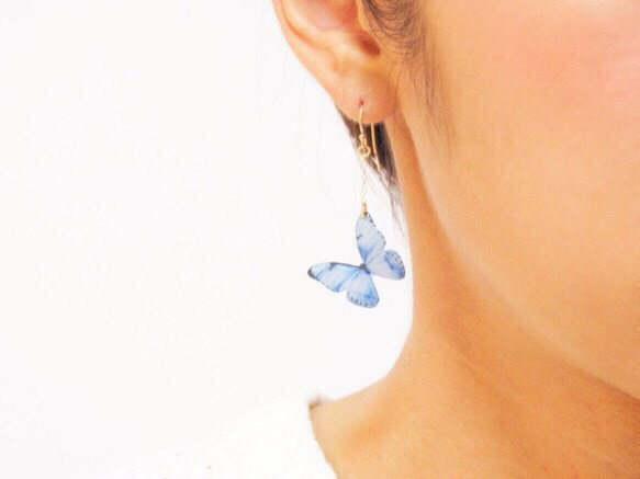 Light Blue Butterfly Earrings,asymmetry[Pierced or clip-on] 第5張的照片