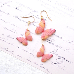 \媒體精選作品/櫻花色蝴蝶耳環（不對稱） 第2張的照片