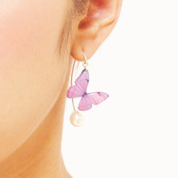 Light Purple Butterfly Stud Earrings With Hook&Pearl 第2張的照片