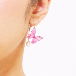 Light Pink Butterfly Earrings With Hook&Pearl 第2張的照片
