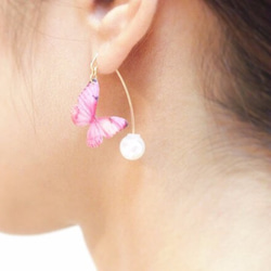 Light Pink Butterfly Earrings With Hook&Pearl 第3張的照片