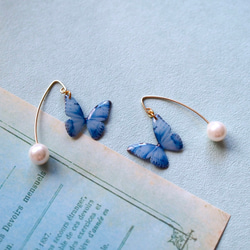 Light Blue Butterfly Earrings With Hook&Pearl 第5張的照片