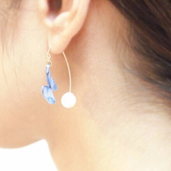 Light Blue Butterfly Earrings With Hook&Pearl 第4張的照片