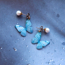 Sky Blue Butterfly Earrings With Pearl [Pierced or Clip-on] 第1張的照片