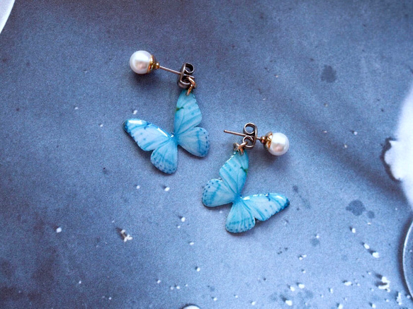 Sky Blue Butterfly Earrings With Pearl [Pierced or Clip-on] 第1張的照片