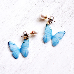 Sky Blue Butterfly Earrings With Pearl [Pierced or Clip-on] 第4張的照片