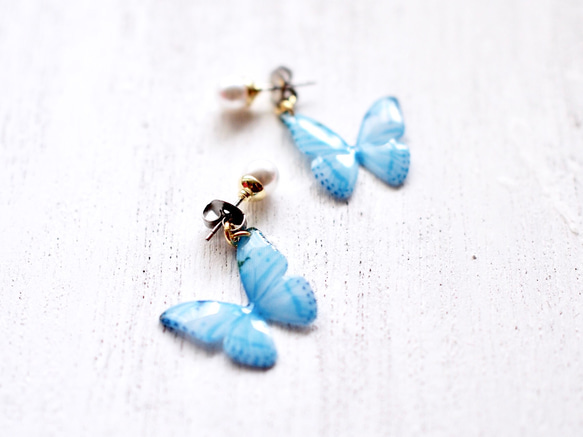 Sky Blue Butterfly Earrings With Pearl [Pierced or Clip-on] 第5張的照片