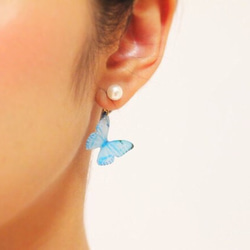 Sky Blue Butterfly Earrings With Pearl [Pierced or Clip-on] 第7張的照片