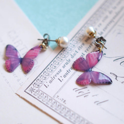 Light Purple Butterfly Earrings With Pearl[Pierced/Clip-on] 第6張的照片