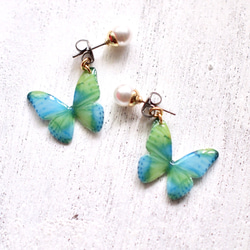 Bluegreen Butterfly Earrings With Pearl [Pierced or Clip-on] 第1張的照片