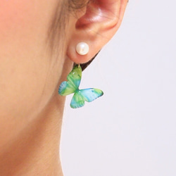 Bluegreen Butterfly Earrings With Pearl [Pierced or Clip-on] 第3張的照片