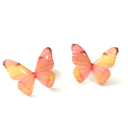 Light coral Butterfly Earrings With Pearl 2[Pierced/Clip-on] 第1張的照片