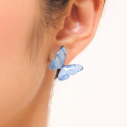 Light Blue Butterfly Earrings With Pearl2[Pierced/Clip-on] 第3張的照片