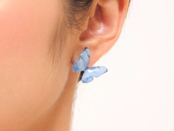 Light Blue Butterfly Earrings With Pearl2[Pierced/Clip-on] 第3張的照片