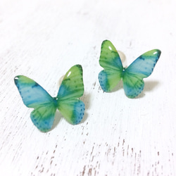 Blue Green Butterfly Earrings With Pearl2[Pierced/Clip-on] 第1張的照片