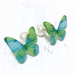 Blue Green Butterfly Earrings With Pearl2[Pierced/Clip-on] 第5張的照片