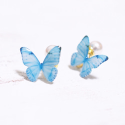 Sky Blue Butterfly Earrings With Pearl2[Pierced/Clip-on] 第4張的照片