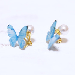 Sky Blue Butterfly Earrings With Pearl2[Pierced/Clip-on] 第5張的照片